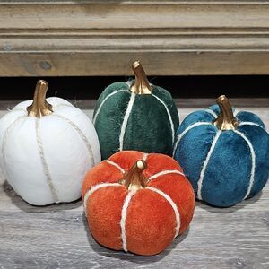 Set of Velvet Pumpkins in Assorted Colors